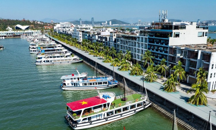 Vịnh Hạ Long ngừng cấp phép cho tàu du lịch rời cảng để ứng phó bão Wipha