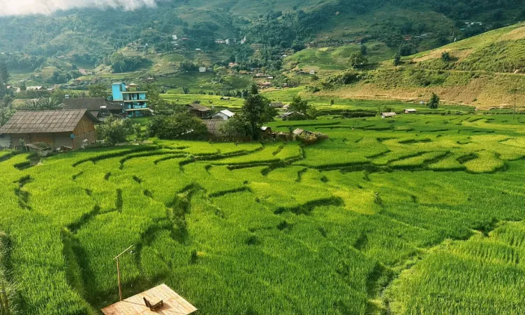Sa Pa mùa lúa xanh: Khung cảnh đẹp như bước ra từ phim điện ảnh