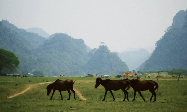 Ngắm nhìn loạt ảnh Hữu Lũng - Lạng Sơn mùa nước cạn của du khách