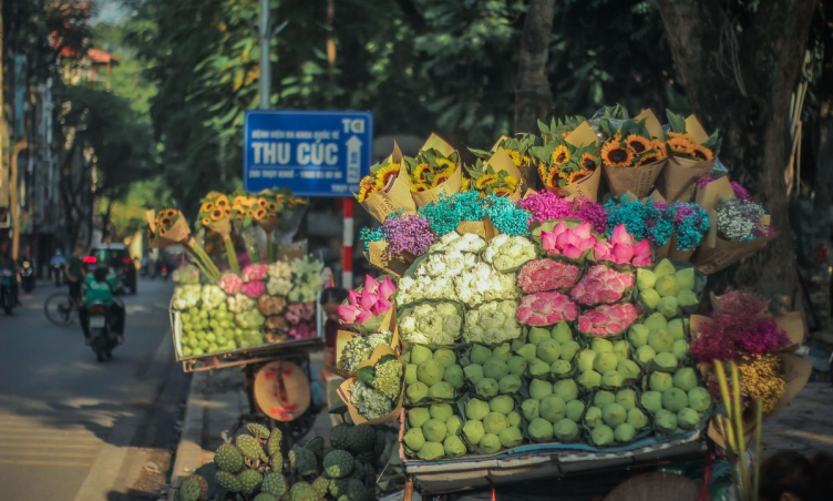 Mê mẩn vẻ đẹp của mùa thu Hà Nội