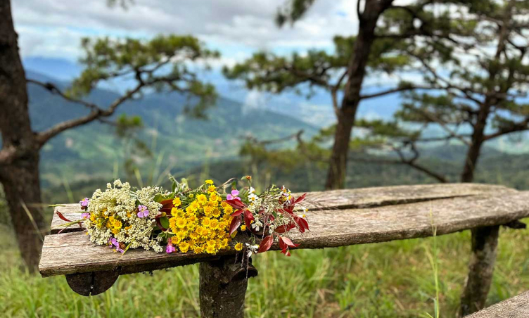 Đỉnh Lomburr: Trekking  'săn mây ' và cắm trại giữa thiên đường Đà Lạt