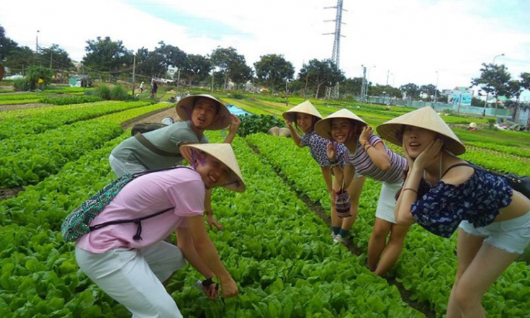 Một ngày khám phá Làng rau Trà Quế - “Làng du lịch tốt nhất thế giới” thứ hai của Việt  Nam