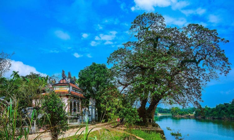 Làng cổ Phước Tích - Nét Huế xưa dịu dàng bên dòng Ô Lâu