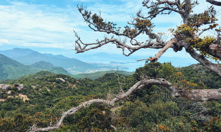 Trekking Hòn Hèo Nha Trang: Chinh phục đỉnh cao, ngắm trọn vịnh ngọc