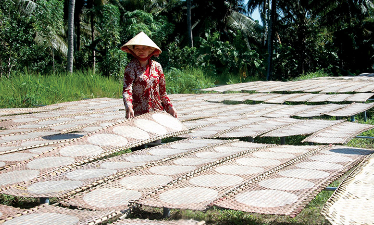 Khám phá làng nghề bánh phồng Sơn Đốc Bến Tre - Tinh hoa làng nghề hơn 100 năm tuổi