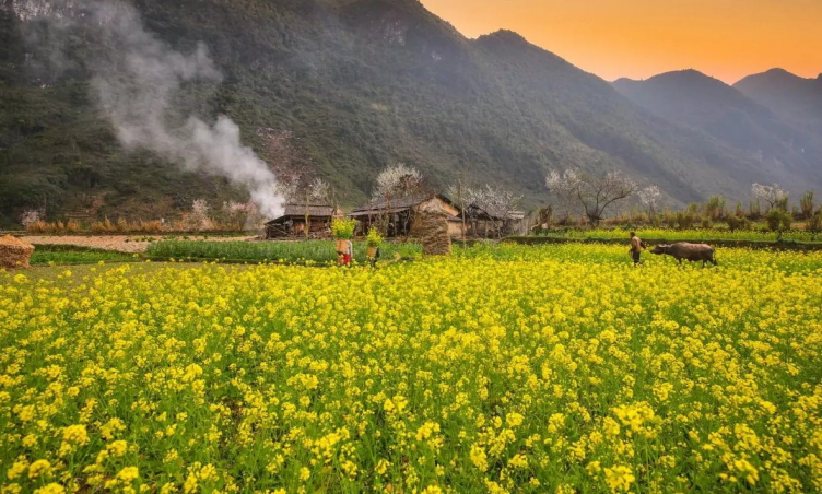 Lý do “miền đá nở hoa” Hà Giang ngày càng nổi tiếng, hấp dẫn du khách quốc tế