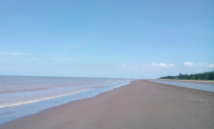 Đắm chìm vào vẻ đẹp tự nhiên của biển Cồn Bửng Bến Tre – Điểm đến lý tưởng cho tín đồ yêu biển