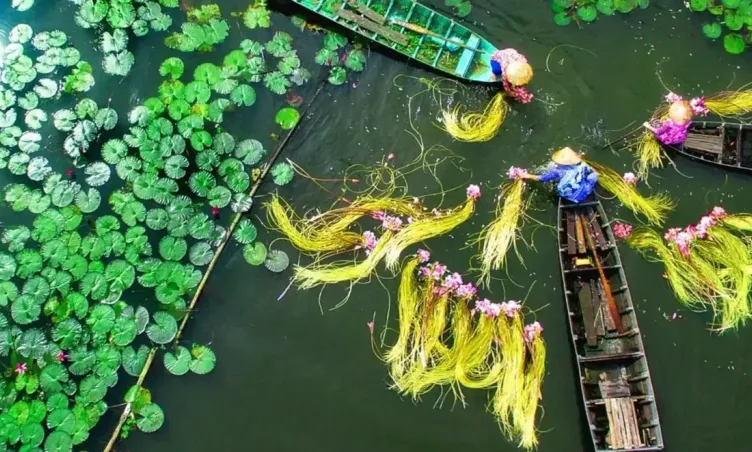 Khám phá khu bảo tồn đất ngập nước Láng Sen Long An - Kỳ quan sinh thái miền Tây