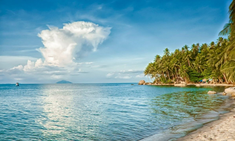 Bãi biển Long Thủy: Vẻ đẹp hoang sơ hiếm có của Phú Yên