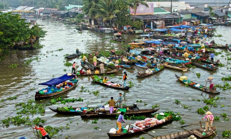 Ghé thăm chợ nổi Ngã Bảy - Hậu Giang: Khu chợ đặc trưng miền Tây hơn 100 năm tuổi