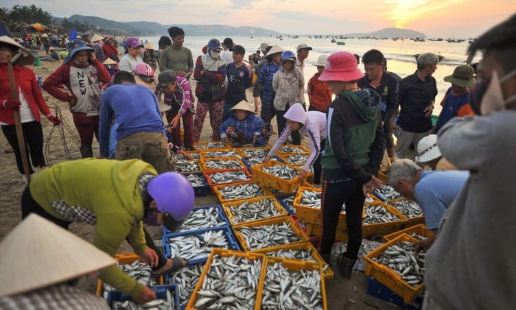 Khám phá 5 chợ sầm uất nhất Phan Thiết: Thiên đường mua sắm cho tín đồ du lịch