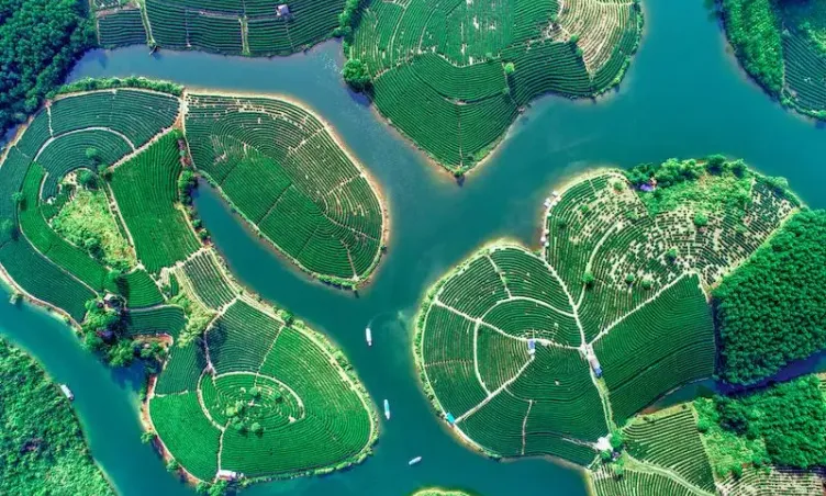 Từ Nghệ An đến Đà Nẵng bao nhiêu km?
