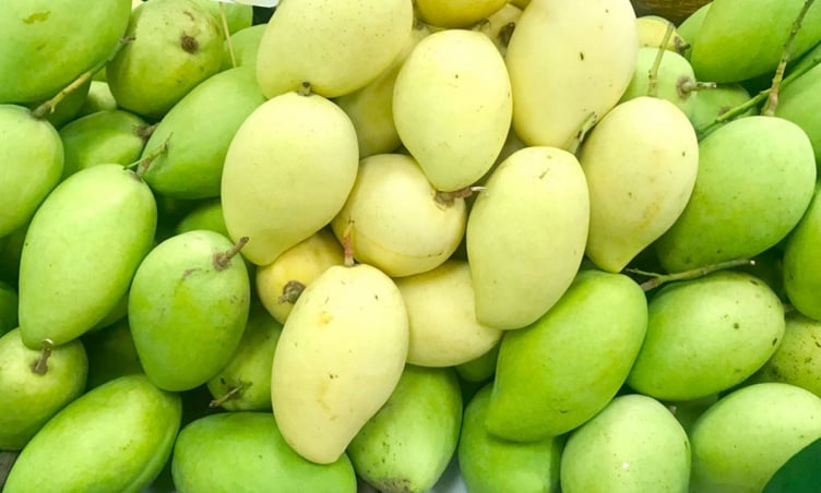 Top 4 trái cây đặc sản Đồng Tháp ngon trứ danh