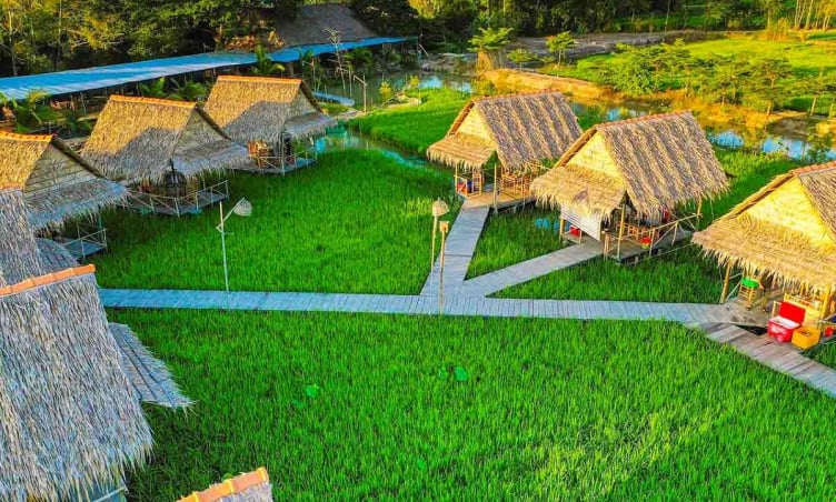 Điểm danh 5 khu du lịch sinh thái nổi tiếng bậc nhất Đồng Tháp