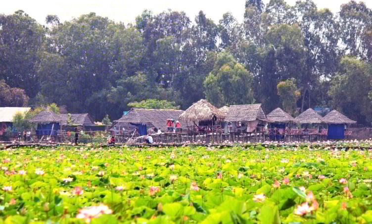 Khám phá 5 địa điểm miền Nam có cảnh sắc tuyệt mỹ vào mùa hè