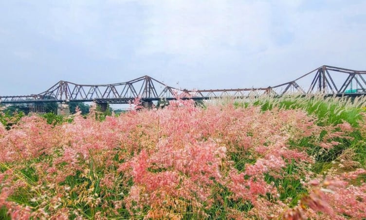 Địa điểm chụp ảnh  'hot ' nhất Hà Nội lúc này – Không cần đi xa vẫn có ảnh  'đẹp như cổ tích '