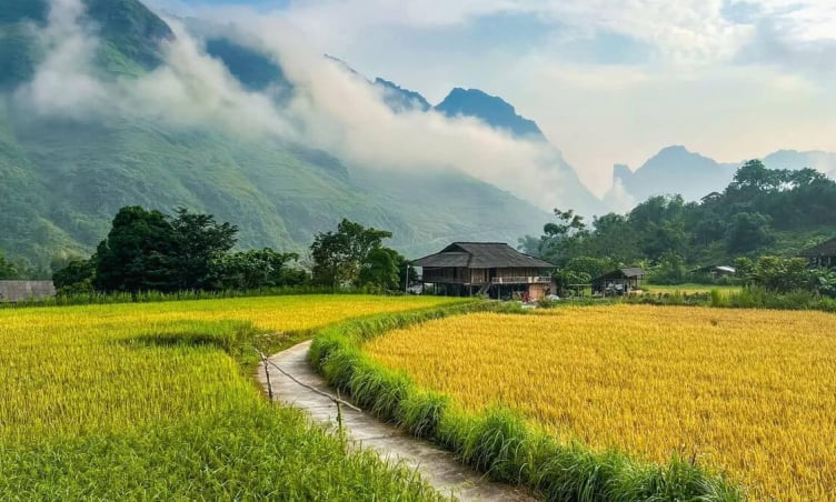 9 ngôi làng đẹp như tranh ở Hà Giang nhất định phải ghé khi tới miền đá nở hoa