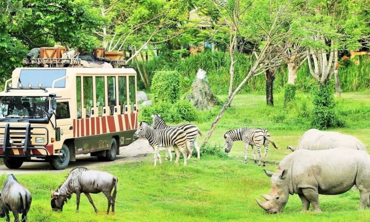 5 điểm đến lý tưởng cho gia đình có trẻ nhỏ khi du lịch Quy Nhơn hè 2025