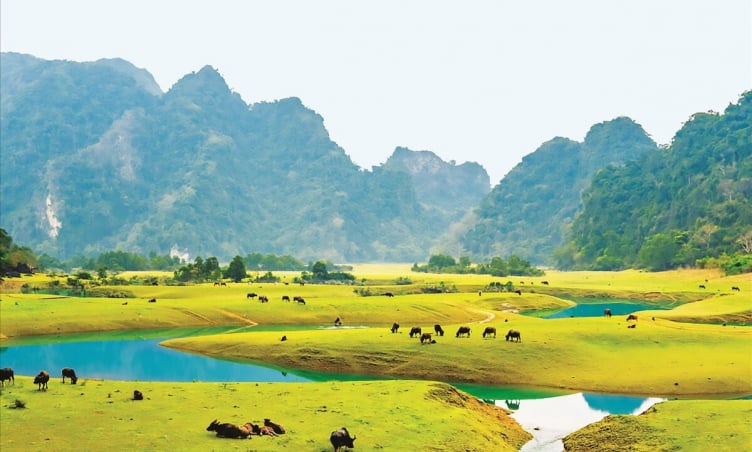 Địa điểm chữa lành cách Hà Nội 3 giờ lái xe, lý tưởng cho người hướng nội
