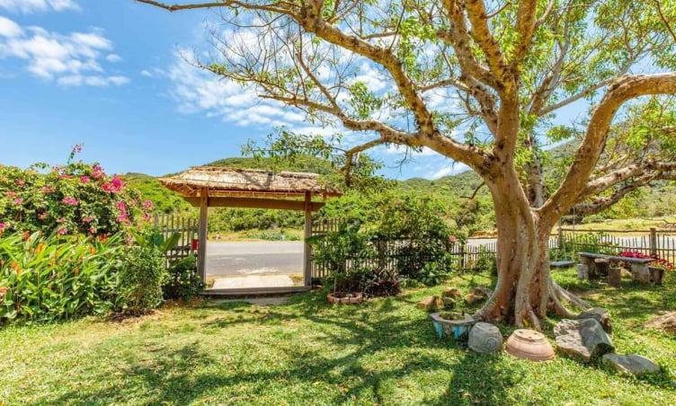 Ghé thăm B&U Farm - Điểm du lịch sinh thái hấp dẫn của Phú Yên