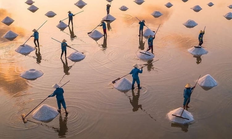 Du lịch gia đình nên đi đâu ở Quảng Ngãi? Top 5 điểm đến hấp dẫn nhất hè 2025