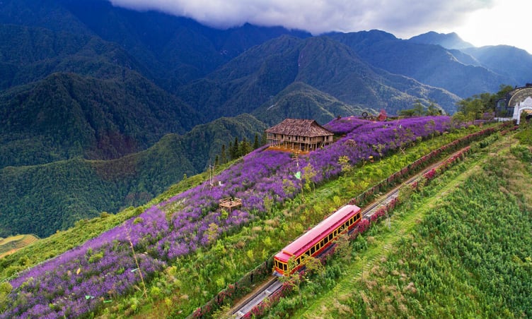 Du lịch Sapa hè 2025: Top những nơi đẹp nhất nên đi