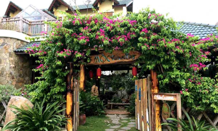 6 homestay view đẹp, gần biển ở Quy Nhơn dịp hè 2025