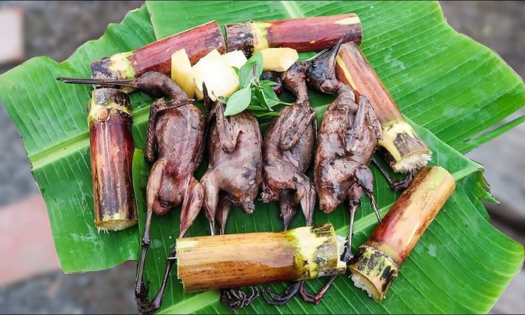 Ăn chim mía Bình Định ở đâu ngon? Mách bạn 5 địa chỉ nổi tiếng nhất