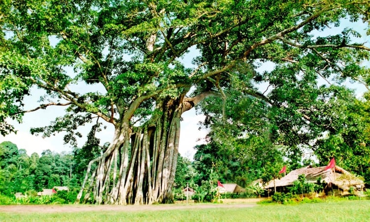 Từ Hà Nội đi Tuyên Quang bao nhiêu km?
