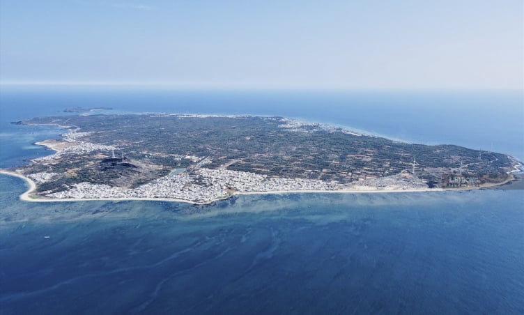5 điểm đến hấp dẫn cho gia đình tại Bình Thuận mùa hè 2025