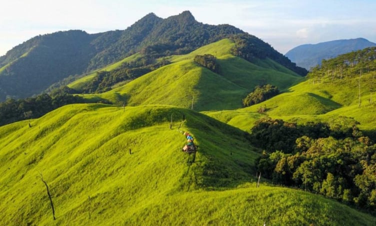 Top 5 cung đường trekking đẹp nhất Đà Lạt