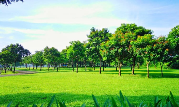 Khám phá công viên cây xanh lớn nhất Việt Nam: Điểm dã ngoại lý tưởng nhất nội thành Hà Nội