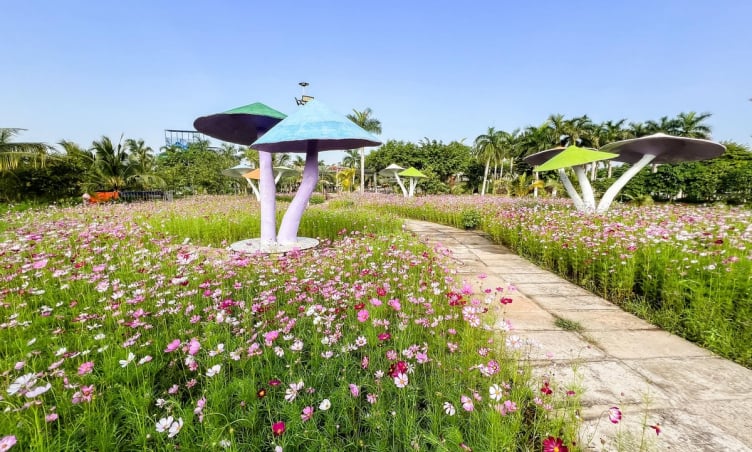 Top 5 điểm check-in đẹp nhất Trà Vinh vào mùa hè