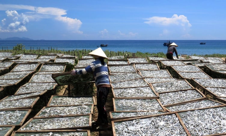 Làng nghề nước mắm Gành Đỏ: Nơi lưu giữ tinh hoa nghề biển Phú Yên