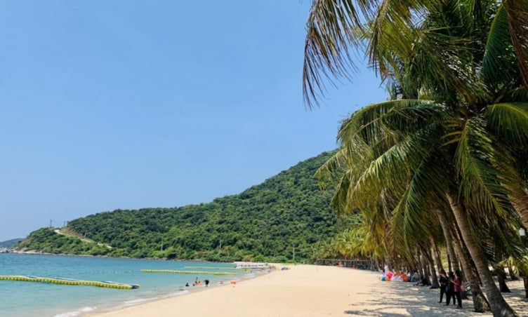 Top 5 trải nghiệm thú vị nhất khi du lịch Cù Lao Chàm
