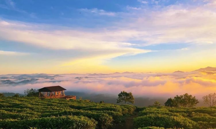 Top 5 điểm check-in đẹp nhất ở Trại Mát Đà Lạt