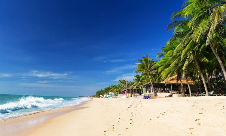 5 tour phổ biến miền Nam đi từ Sài Gòn đáng trải nghiệm nhất