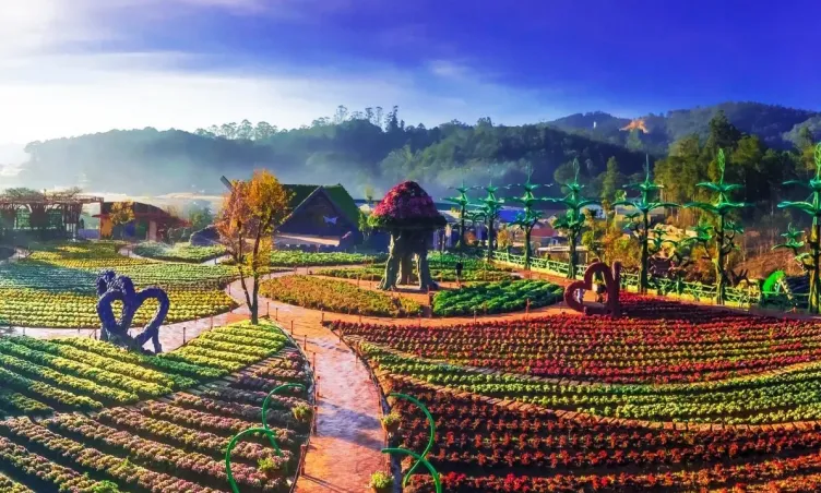 Lâm Đồng sau sáp nhập có gì chơi? Khám phá trọn bộ combo núi - rừng - biển