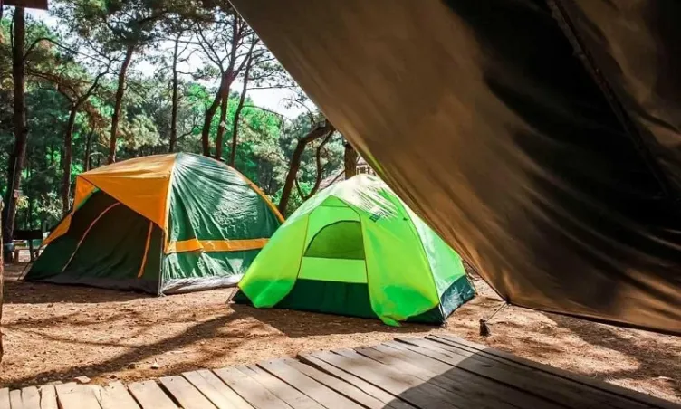 Bản Rõm Sóc Sơn – Điểm đến “trốn phố” lý tưởng ngay gần Hà Nội