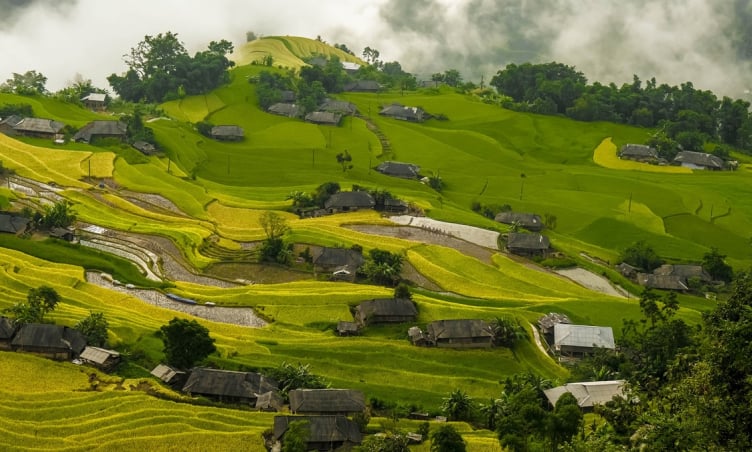 Lịch trình khám phá Hoàng Su Phì 3 ngày 2 đêm cho người mới đi lần đầu