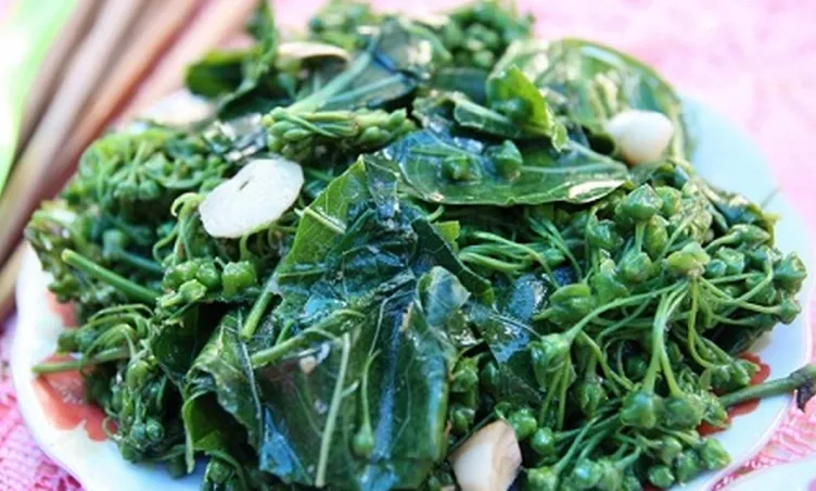 Tại sao lá ngón - loài cây có độc “khét tiếng” - lại trở thành món ăn đặc sản ở Lai Châu?