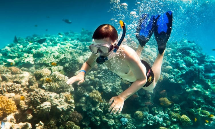 Hé lộ 5 tọa độ lặn biển ngắm san hô đẹp nhất Quy Nhơn
