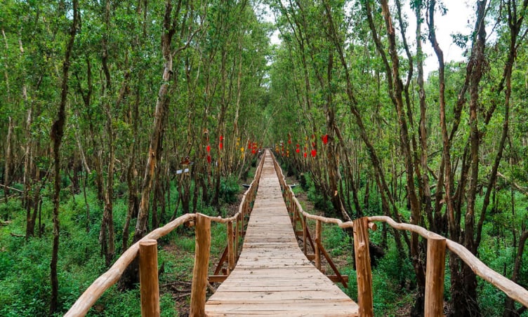 Du lịch An Giang: Hành trình từ sắc xanh rừng tràm đến màu lam của biển cả