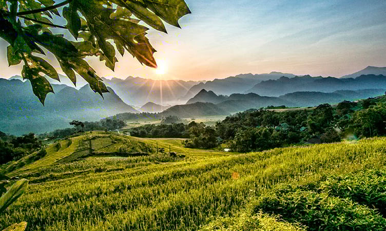 Pù Luông Thanh Hoá mùa nào đẹp nhất? Thời điểm lý tưởng khám phá thiên nhiên xứ Thanh