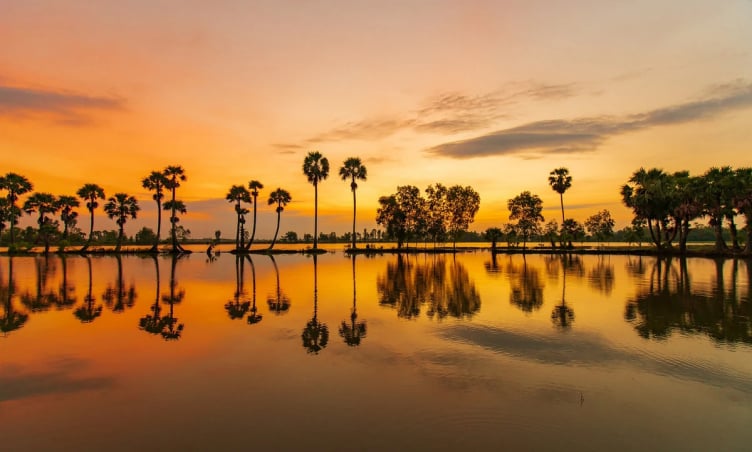 Du lịch An Giang mùa nước nổi: Top 5 địa điểm siêu đẹp nhất định phải ghé một lần