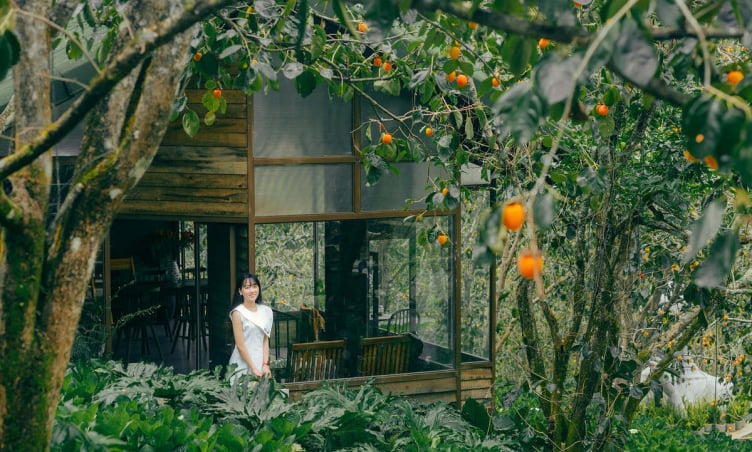 Mùa hồng Đà Lạt tháng mấy? Bật mí top 5 vườn hồng check-in siêu đẹp khi vào mùa