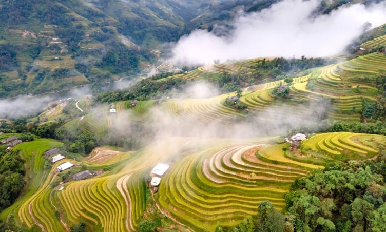 Chiêm ngưỡng nơi được ví như  'vùng đất vỏ cây vàng ' ở miền Bắc