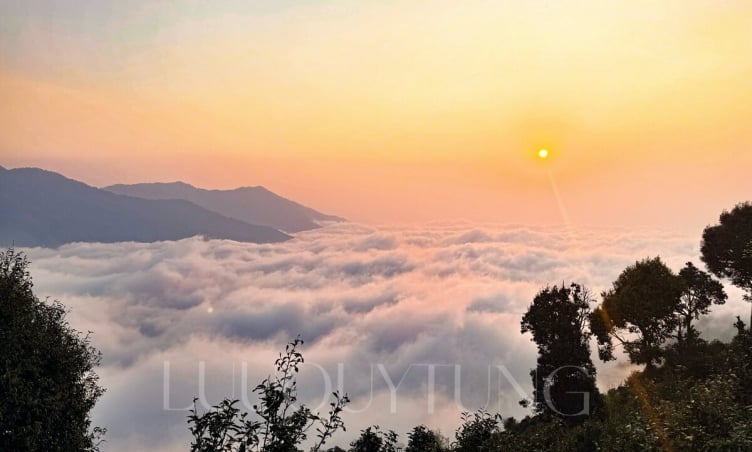 Khám phá Tà Xùa 2N1Đ: Hành trình săn mây đẹp như mơ theo travel reviewer