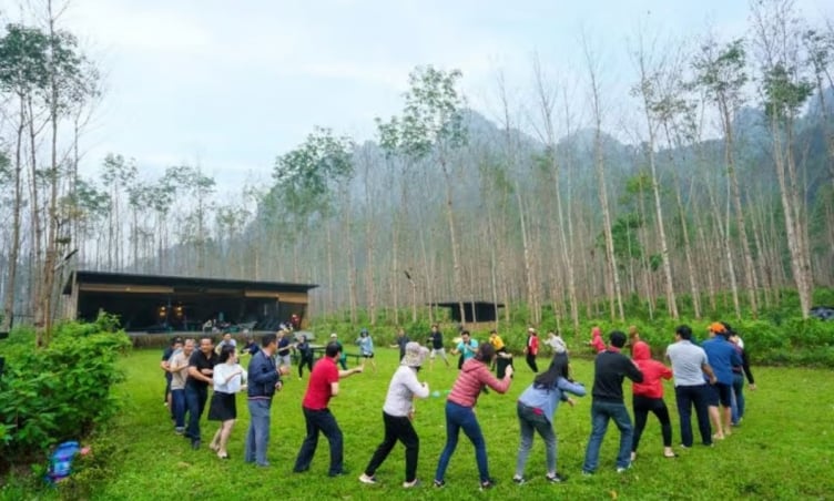Top 5 địa điểm tổ chức teambuilding tại Quảng Bình được yêu thích