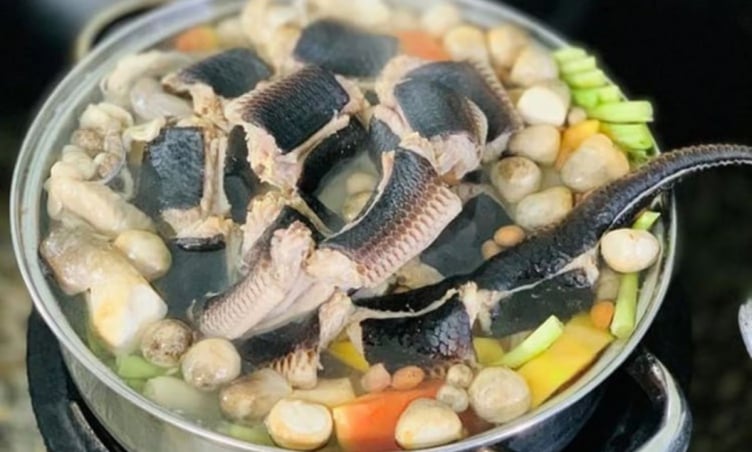 Đặc sản đẻn biển Quảng Bình - Món ngon độc lạ, khiến người mê người lại rùng mình